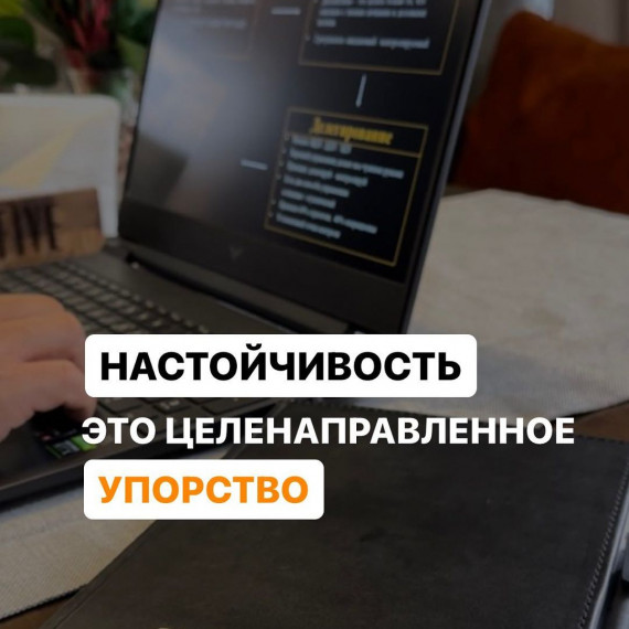 Что такое настойчивость? Почему нужно быть настойчивым?