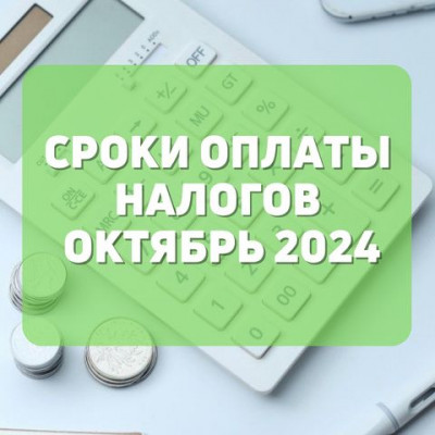 Сроки оплаты налогов октябрь 2024 года