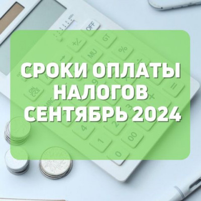 Сроки оплаты налогов сентябрь 2024 года