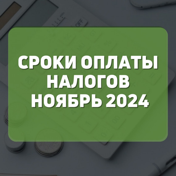 Сроки оплаты налогов ноябрь 2024 года