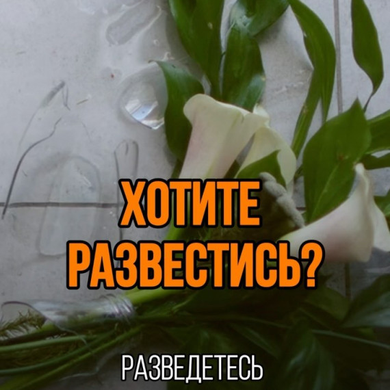 Хотите развестись?