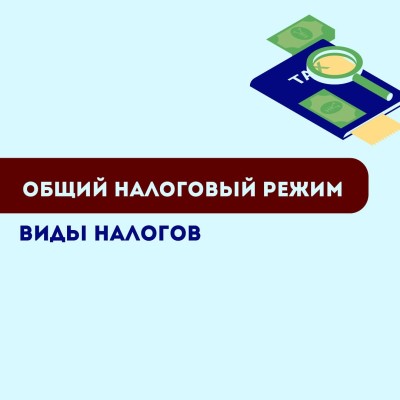 Общий налоговый режим: Виды налогов