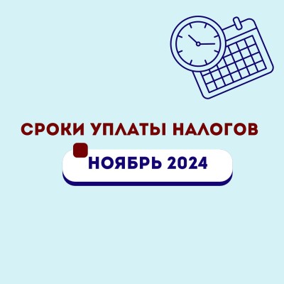 Сроки уплаты налогов ноябрь 2024