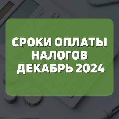 Сроки оплаты налогов на декабрь 2024г