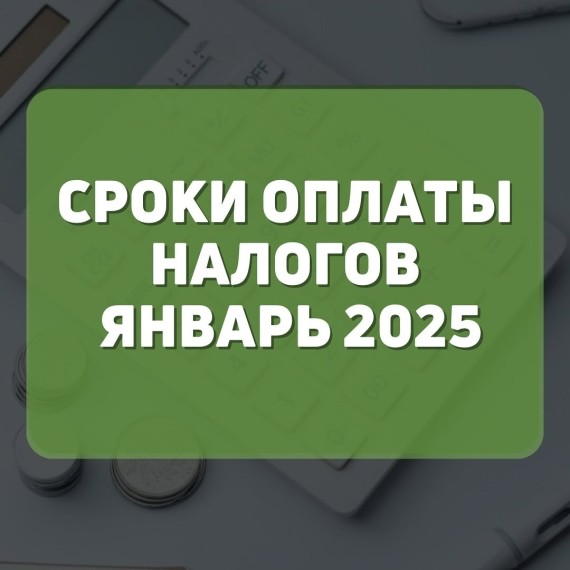 Сроки оплаты налогов на январь 2025 год