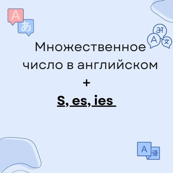 Множественное число в английском + s, es, ies