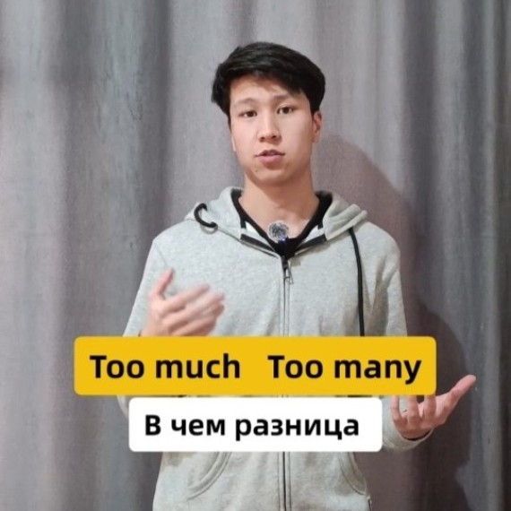 В чем разница между Too much и Too many