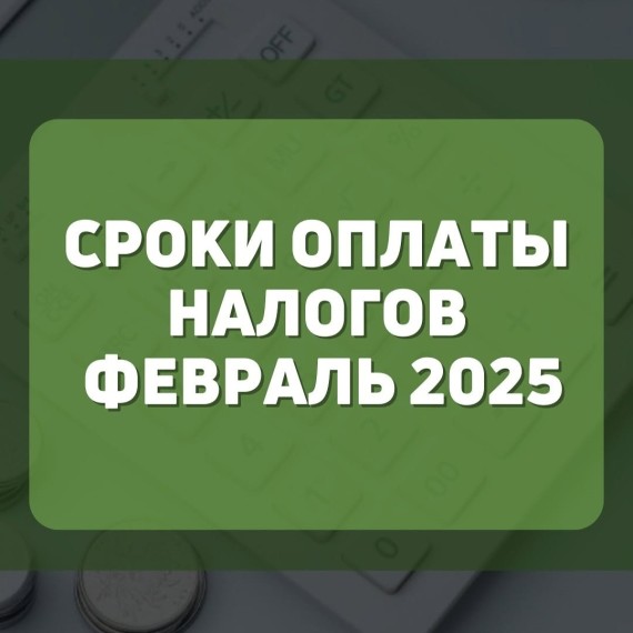 Сроки оплаты налогов на февраль 2025