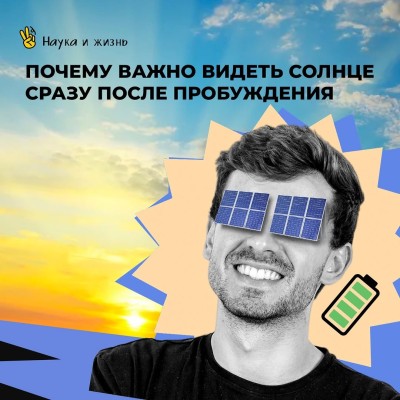 Почему важно видеть солнце сразу после пробуждения?