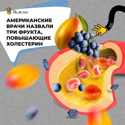 3 фрукта повышающие холестерин