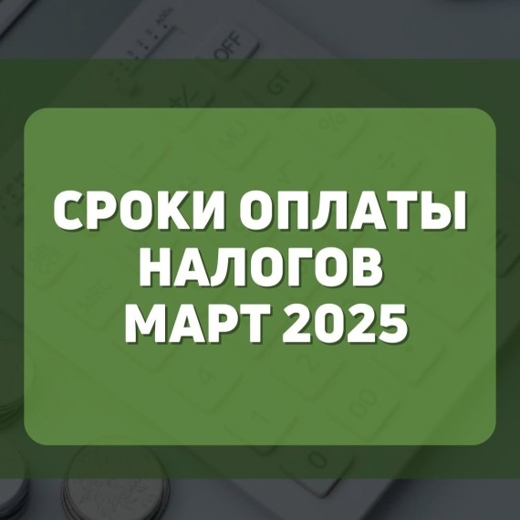 Сроки оплаты налогов март 2025