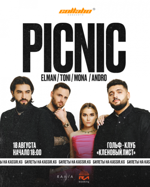 PICNIC - грандиозный концерт артистов RAAVA MUSIC / - ELMAN, Andro, TONI и MONA