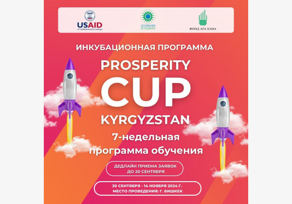 Prosperity Cup 2024 — возможности, которые изменят ваш стартап! Инкубационная программа, которая превратит вашу идею в реальный продукт