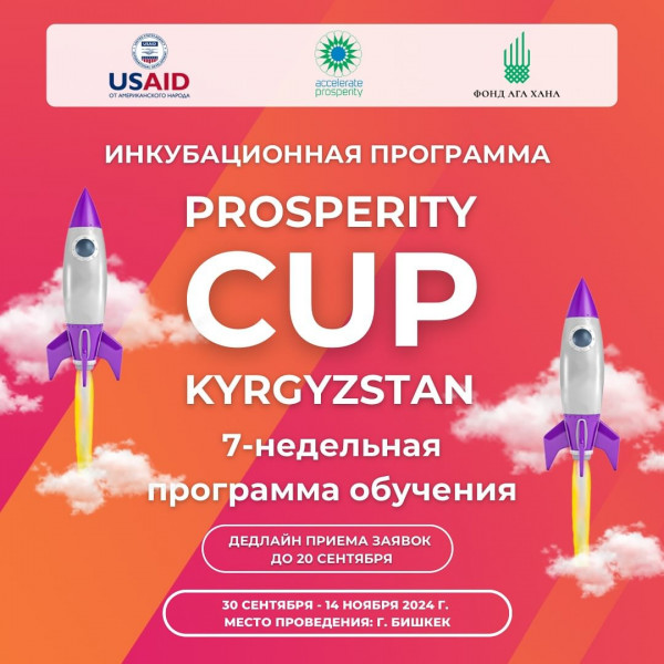 Prosperity Cup 2024 — возможности, которые изменят ваш стартап! Инкубационная программа, которая превратит вашу идею в реальный продукт