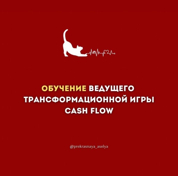 Обучение на ведущего игры Cash Flow