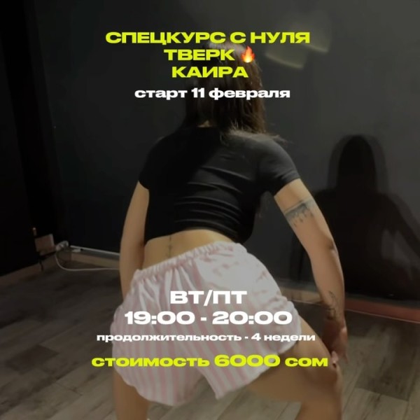 Vibe Dance: Спецкурс с нуля по Тверку