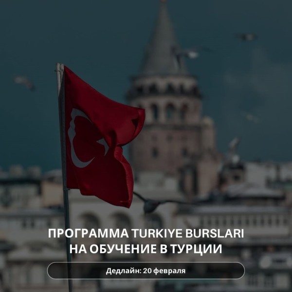 Программа Turkiye Burslari на обучение в Турции