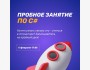 Пробный урок по C#