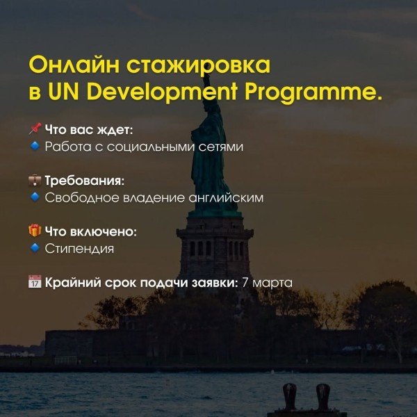 Онлайн стажировка в UN Development Programme