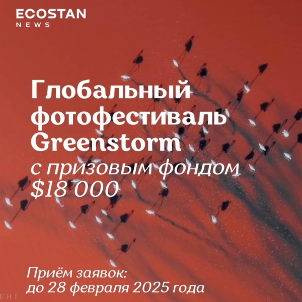 Глобальный фотофестиваль "Greenstorm Global Photography Festival"