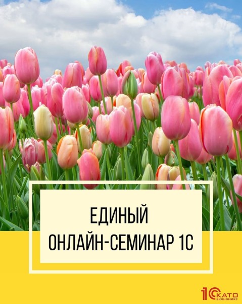  Единый онлайн-семинар по 1С