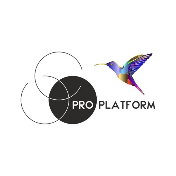 Pro Platform 