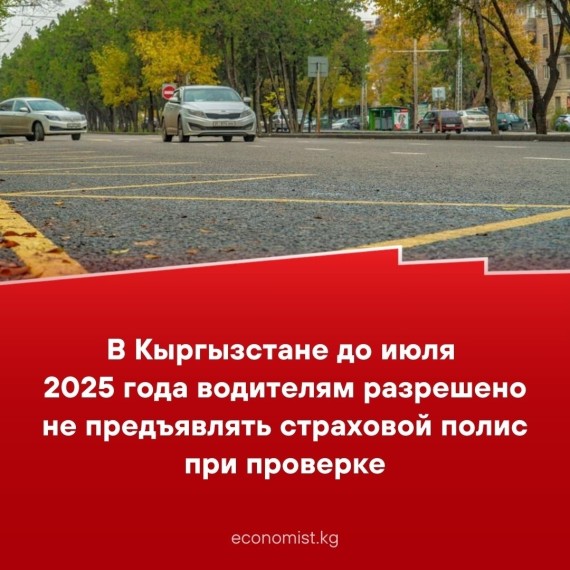 В Кыргызстане до июля 2025 года  водителям разрешено не предъявлять страховой полис при проверке