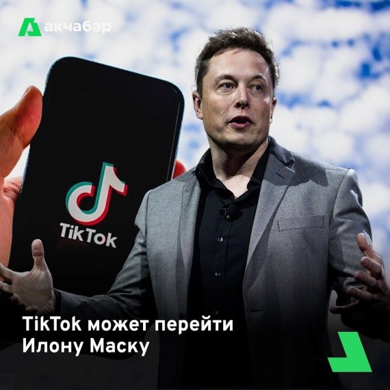 TikTok может перейти Илону Маску