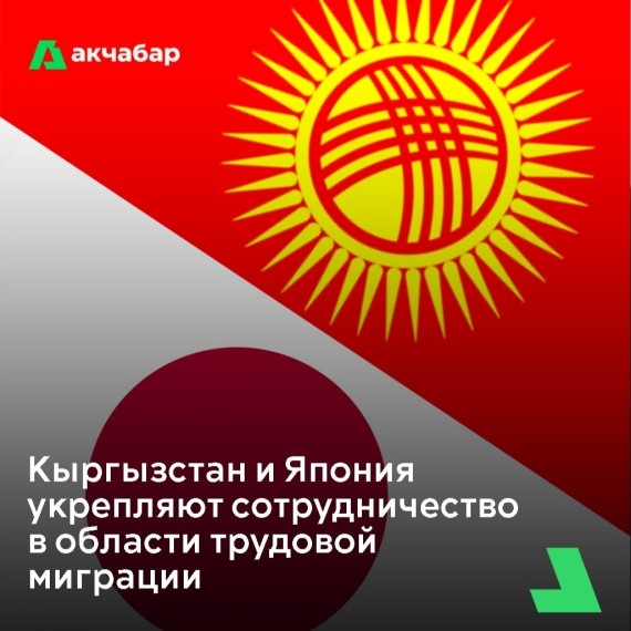 Кыргызстан и Япония укрепляют сотрудничество в области трудовой миграции 