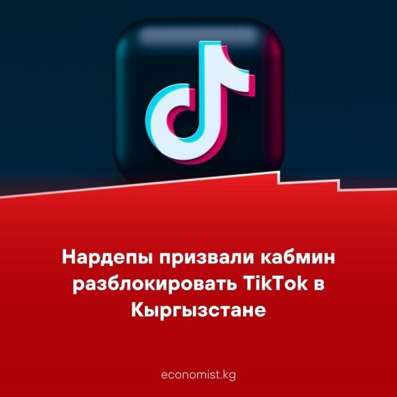 Нардепы призвали кабмин разблокировать TikTok в Кыргызстане