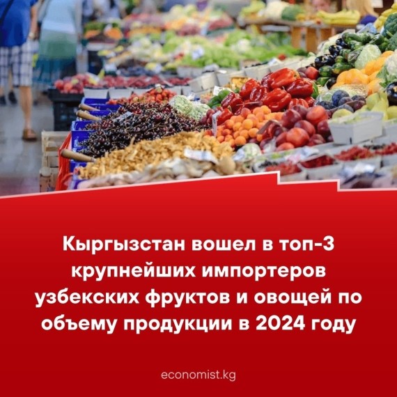 Кыргызстан вошел в то-3 крупнейших импортеров узбекских фруктов и овощей по обьему продукции в 2024 году