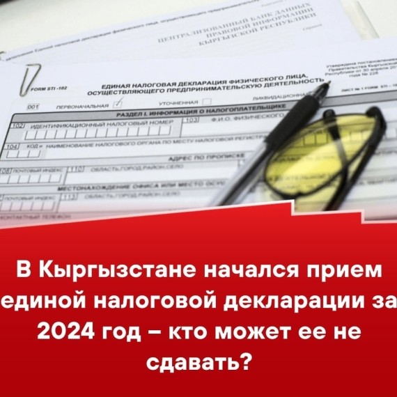 В Кыргызстане начался прием единой налоговой декларации за 2024 год - кто может ее не сдавать ?