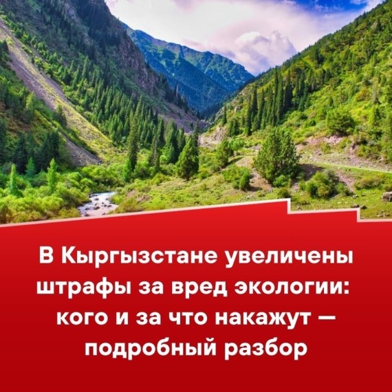 В Кыргызстане увеличены штрафы за вред экологии: кого и за что накажут - подробный разбор 