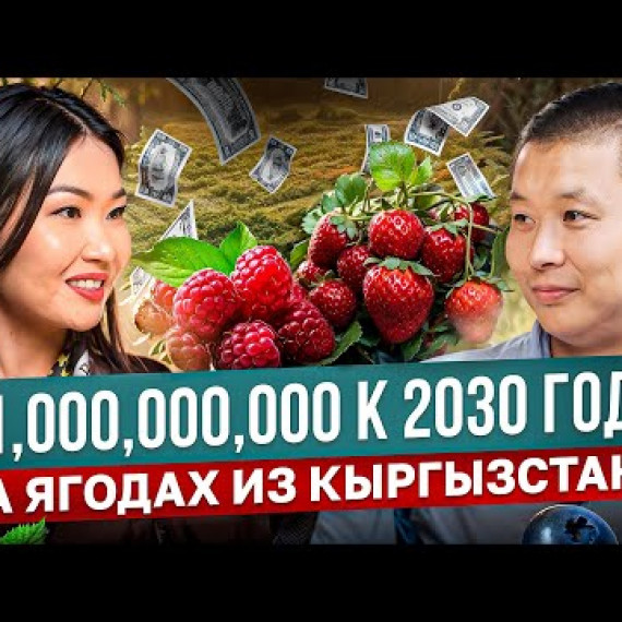 $1 МЛРД к 2030 на ЯГОДАХ – Прорыв для Кыргызстана!? / Тилек Токтогазиев